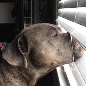 Meet your Posher, Miranda